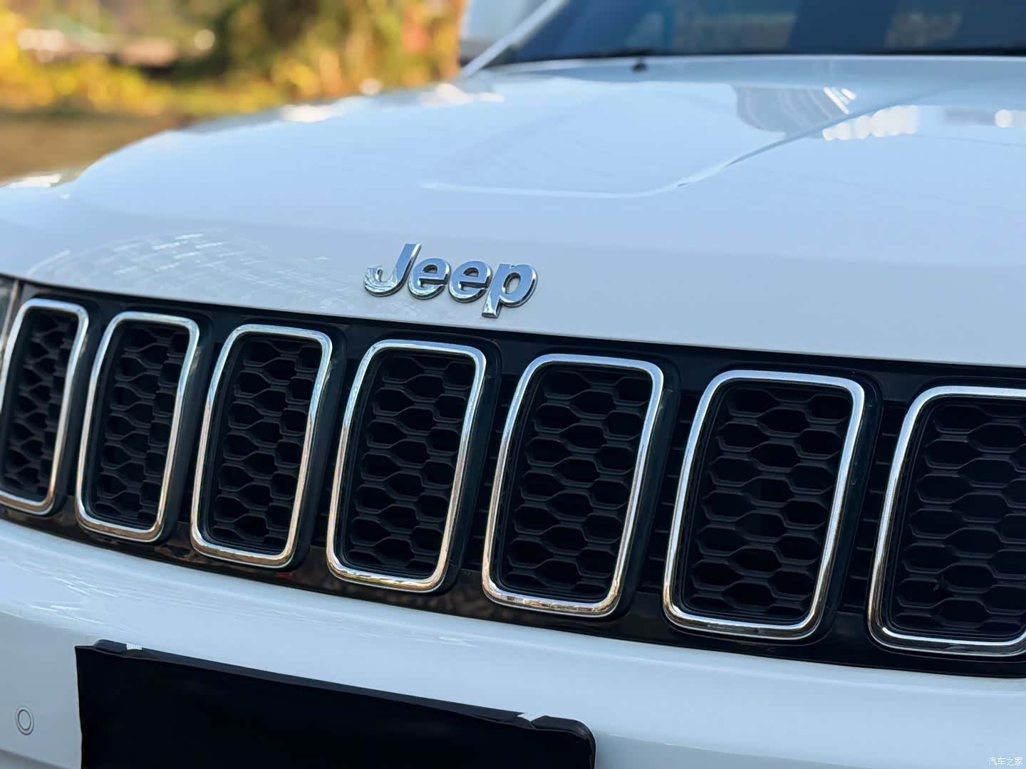 Jeep Grand Cherokee, 2023 9