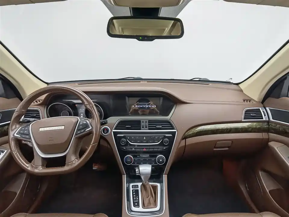 Leopaard Cheetah CS10