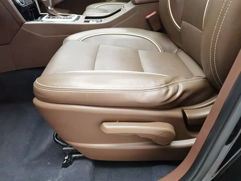 Leopaard Cheetah CS10