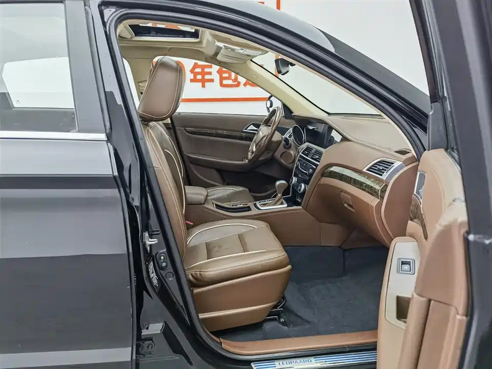 Leopaard Cheetah CS10