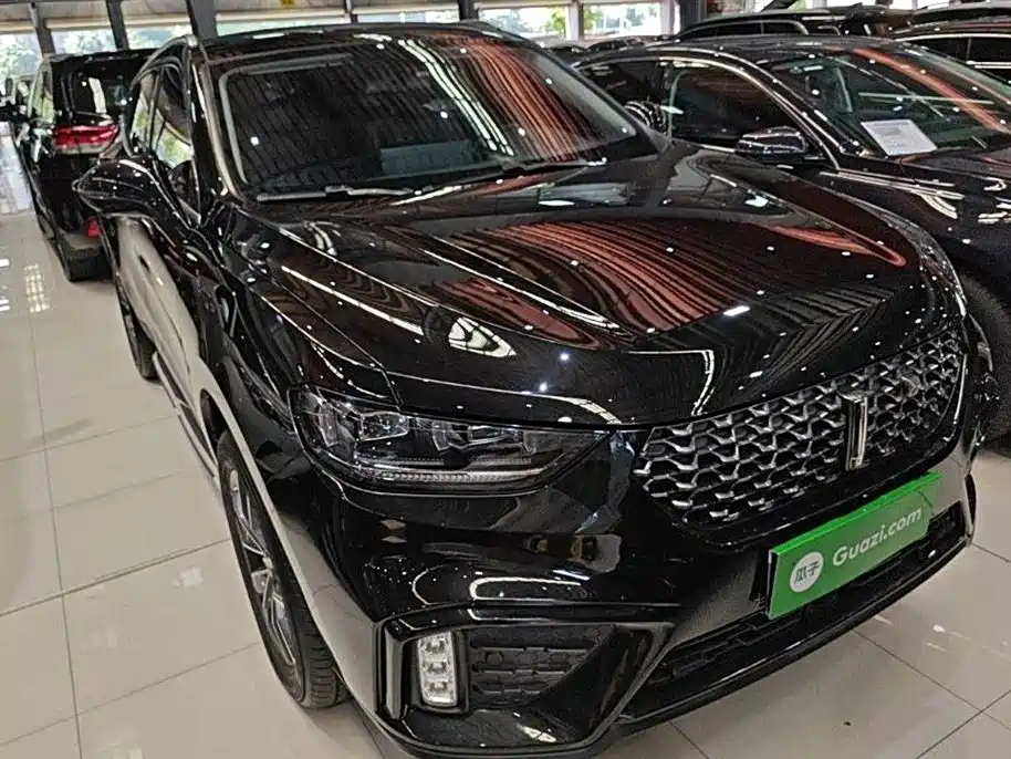 Weipai VV5