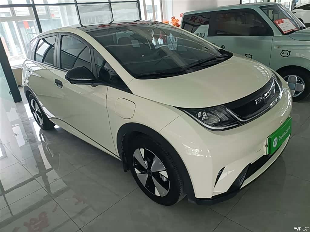 BYD Dolphin, 2024 4
