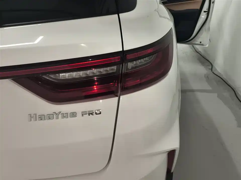 Geely Okavango PRO