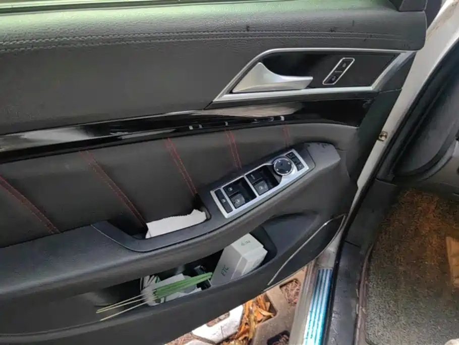 Leopaard Cheetah CS10