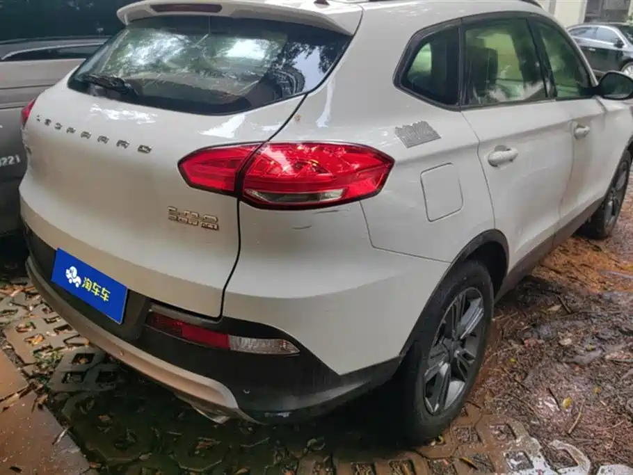 Leopaard Cheetah CS10