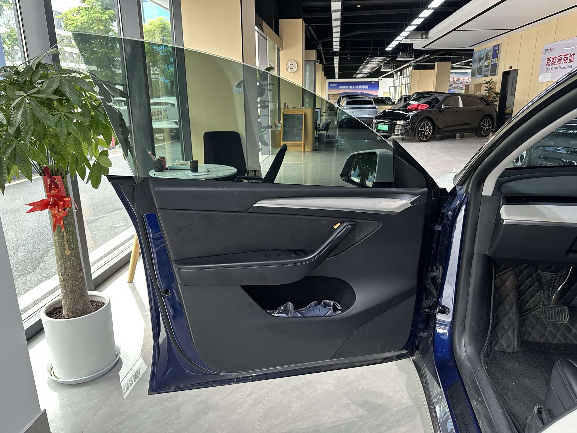 Tesla Model Y, 2022 13
