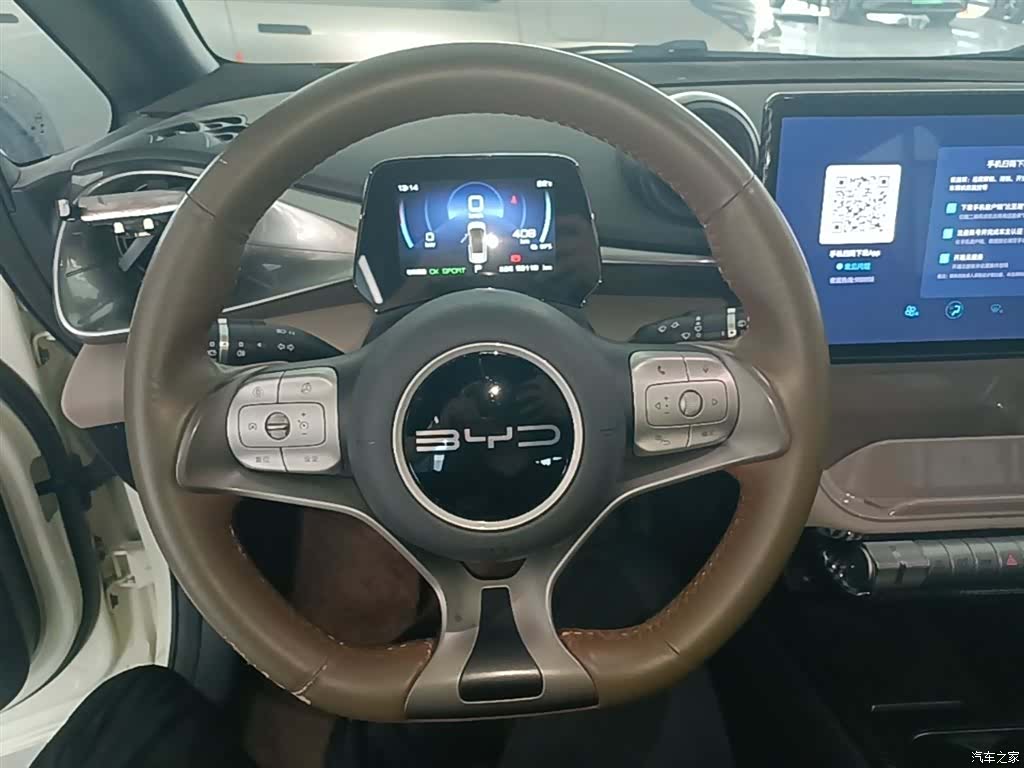 BYD Dolphin, 2024 11