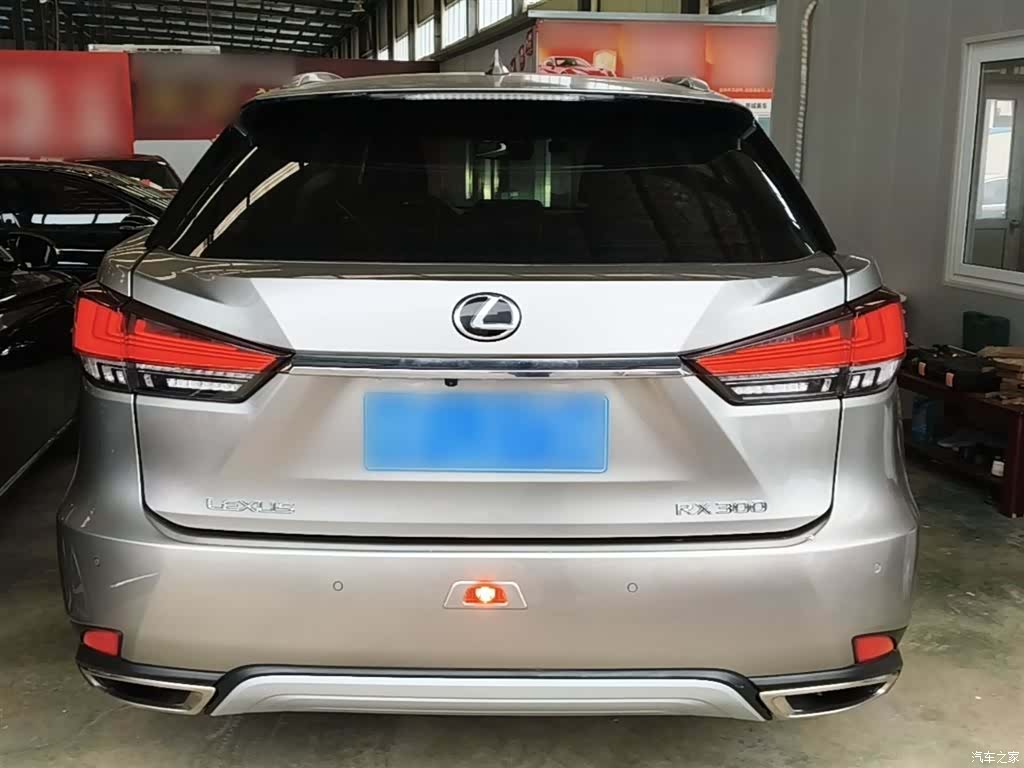 Lexus RX, 2020 6