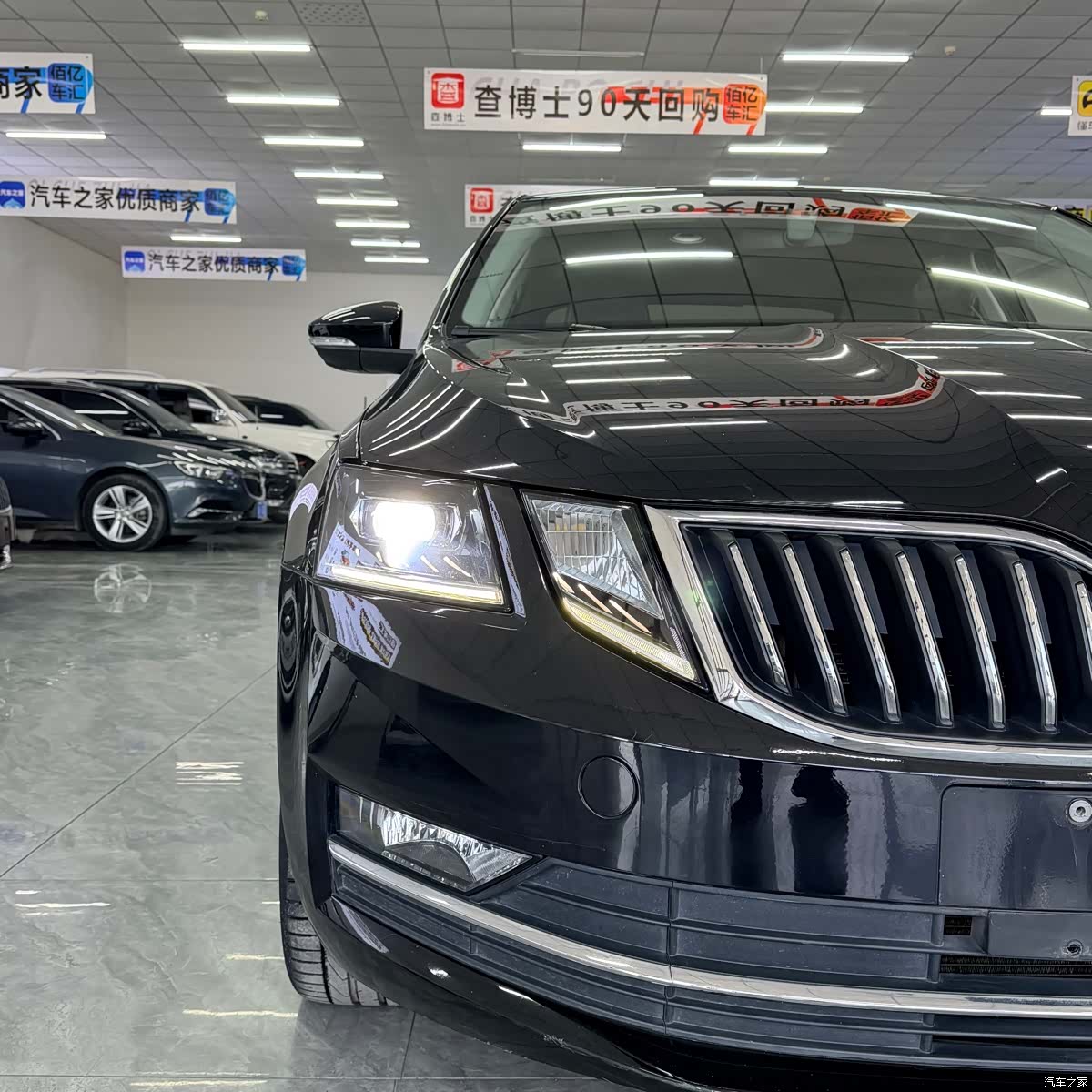 Skoda Octavia, 2019 все фото