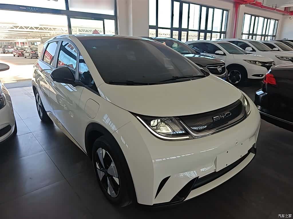 BYD Dolphin, 2023 4