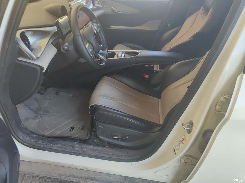 BYD Dolphin, 2025 11