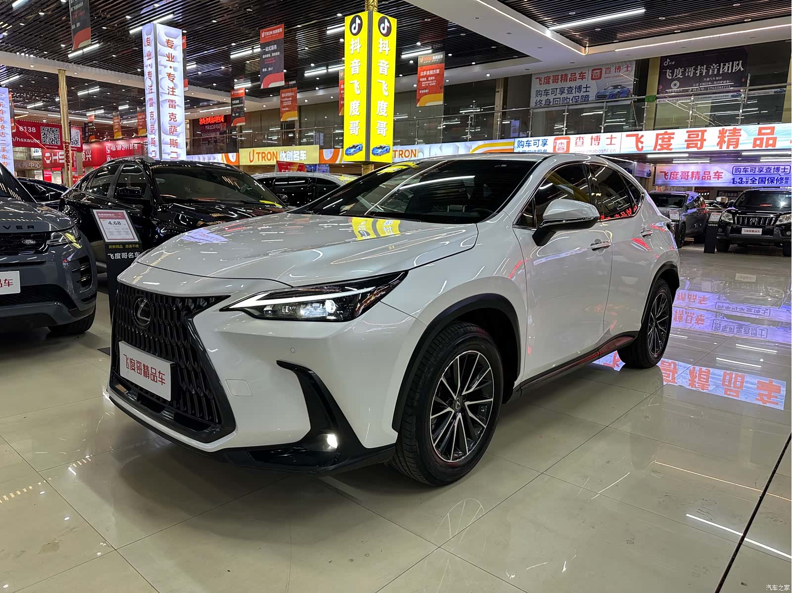 Lexus NX, 2023 1