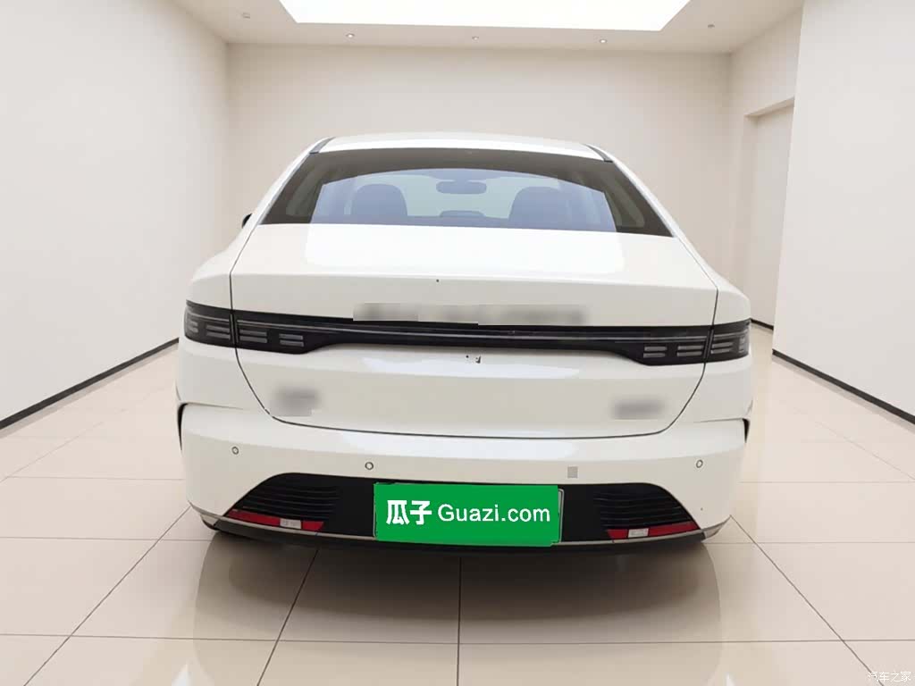 BYD Destroyer 05, 2023 все фото
