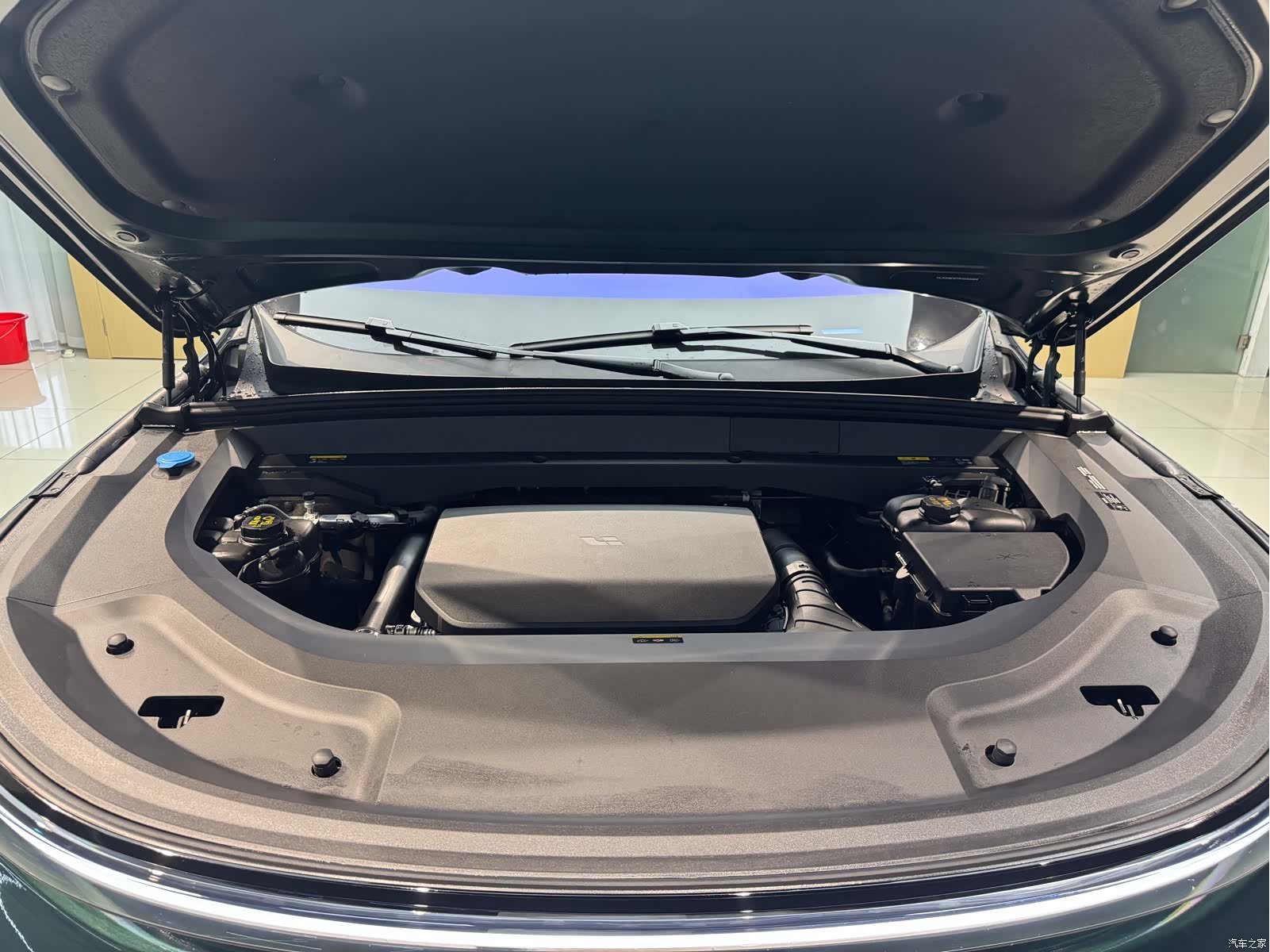 Li Auto L9, 2024 10
