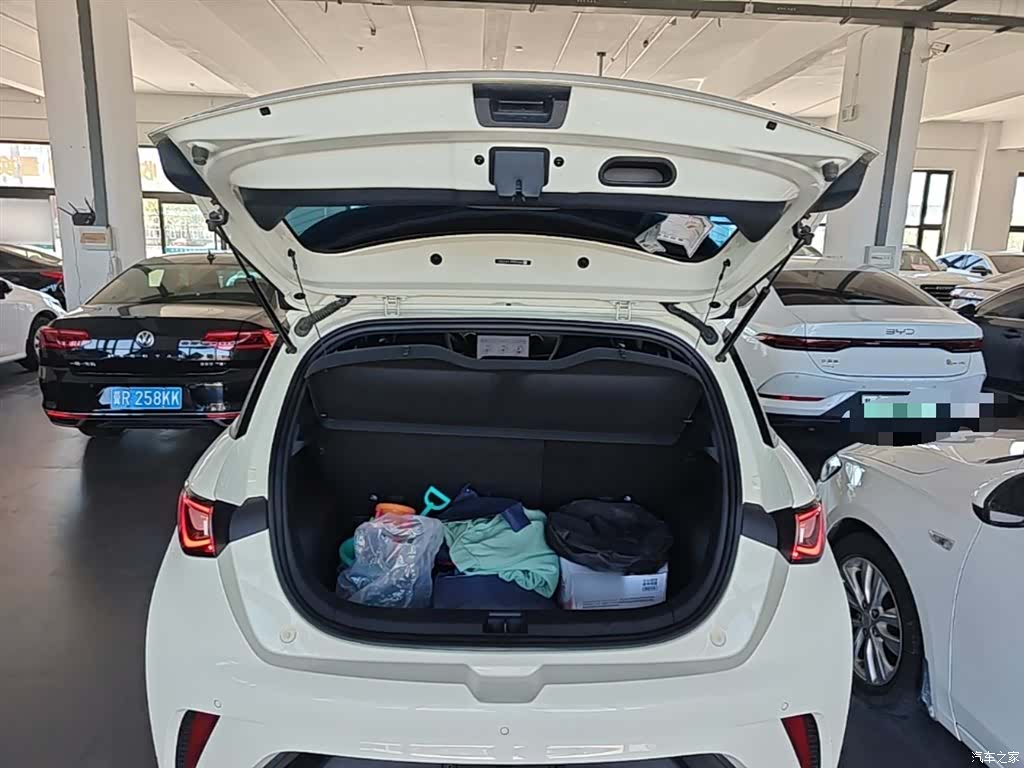 BYD Dolphin, 2023 19