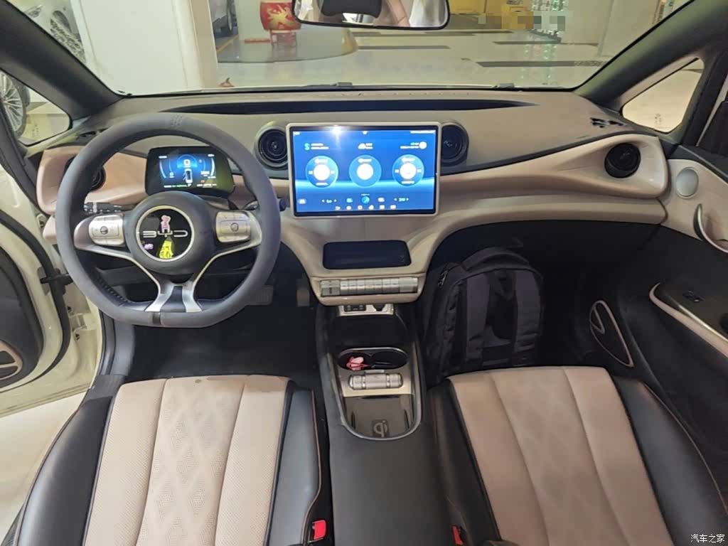 BYD Dolphin, 2023 10