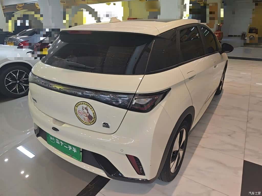 BYD Dolphin, 2023 7