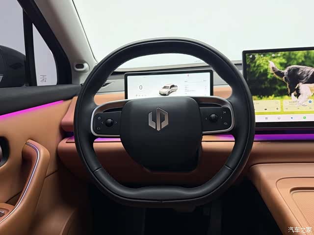 Leapmotor C10, 2024 10