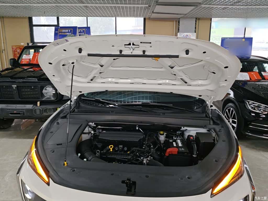 DongFeng T5, 2023 20
