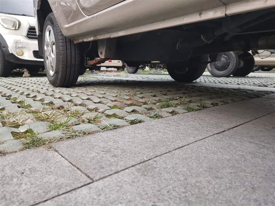 Jinbei Little Sea Lion X30