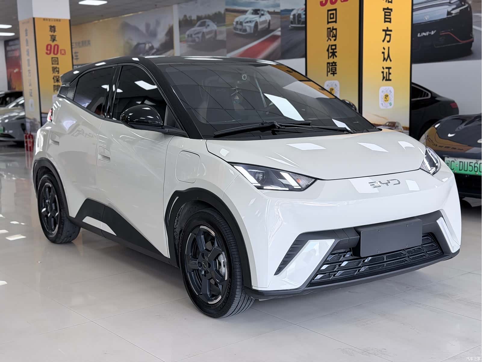 BYD Seagull, 2023 3