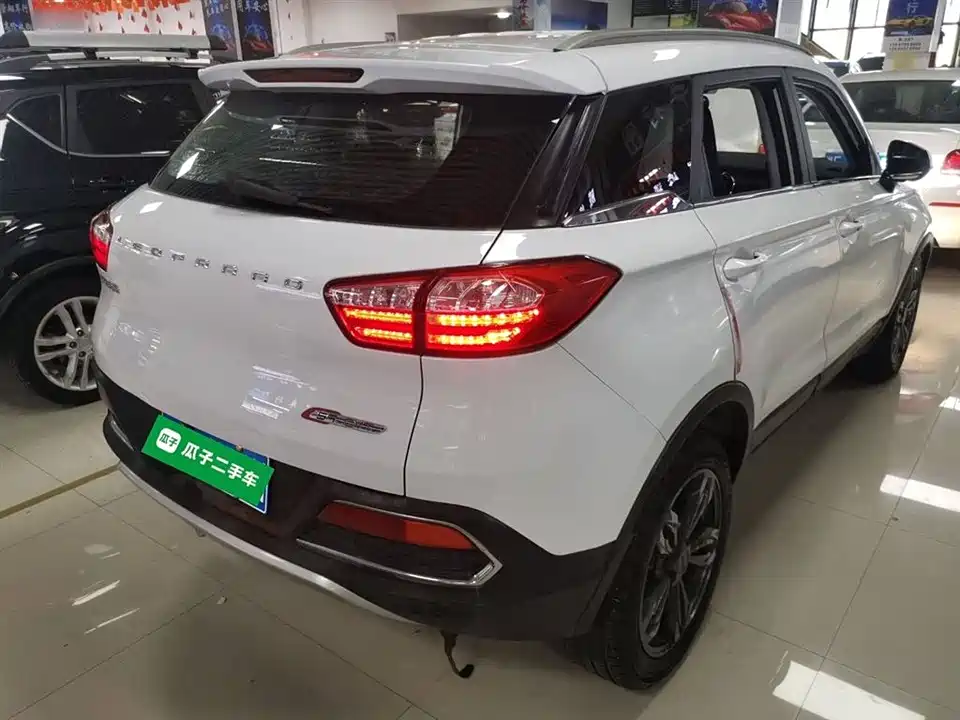 Leopaard Cheetah CS9