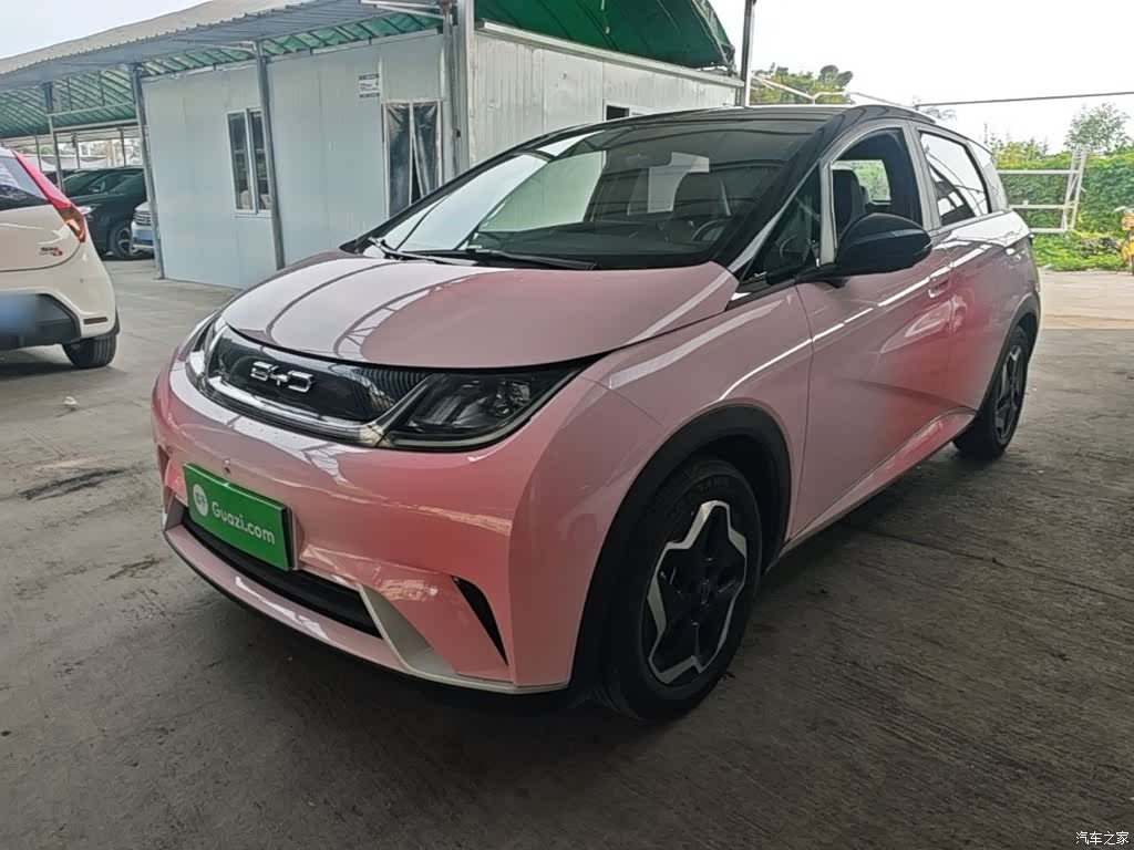 BYD Dolphin, 2022 1