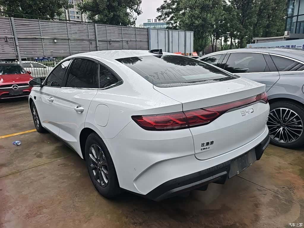 BYD Qin, 2025 все фото