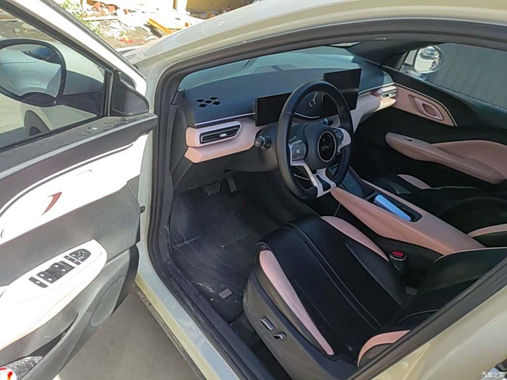 BYD Seagull, 2024 12