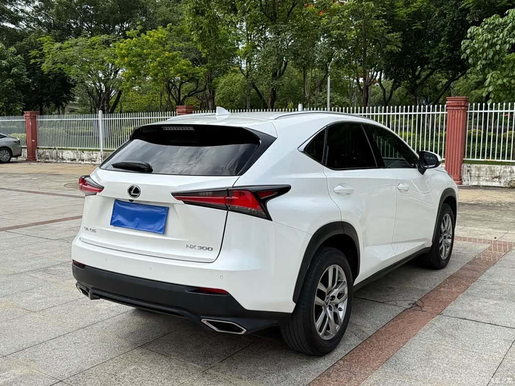 Lexus NX, 2018 3