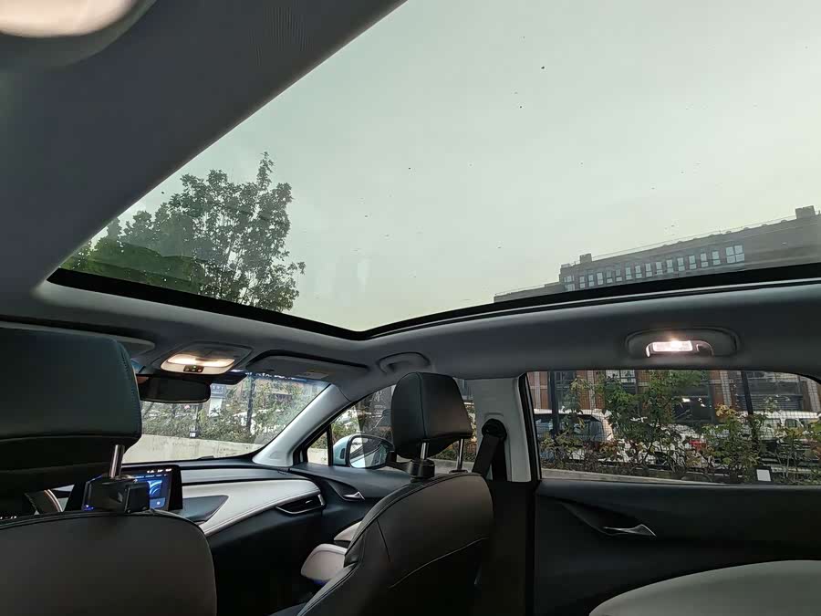 Buick WEY Blue 6 2019, фото 18