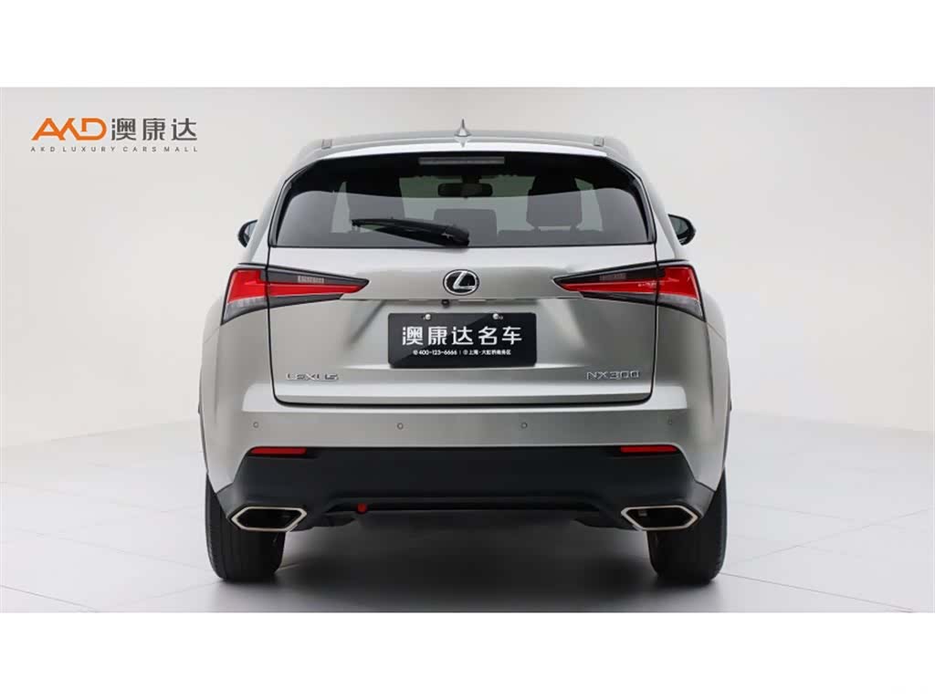 Lexus NX, 2018 4