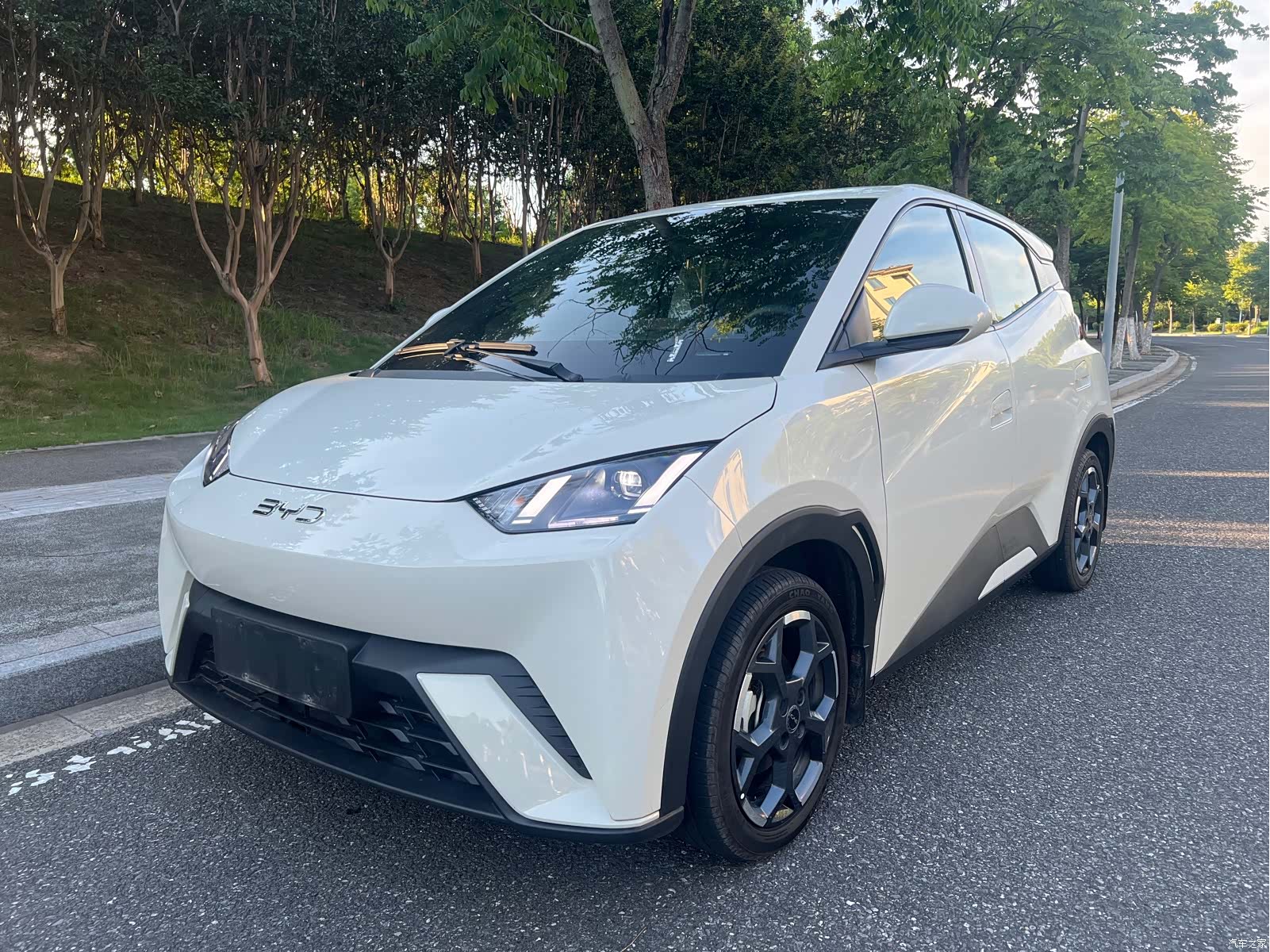 BYD Seagull, 2025 1