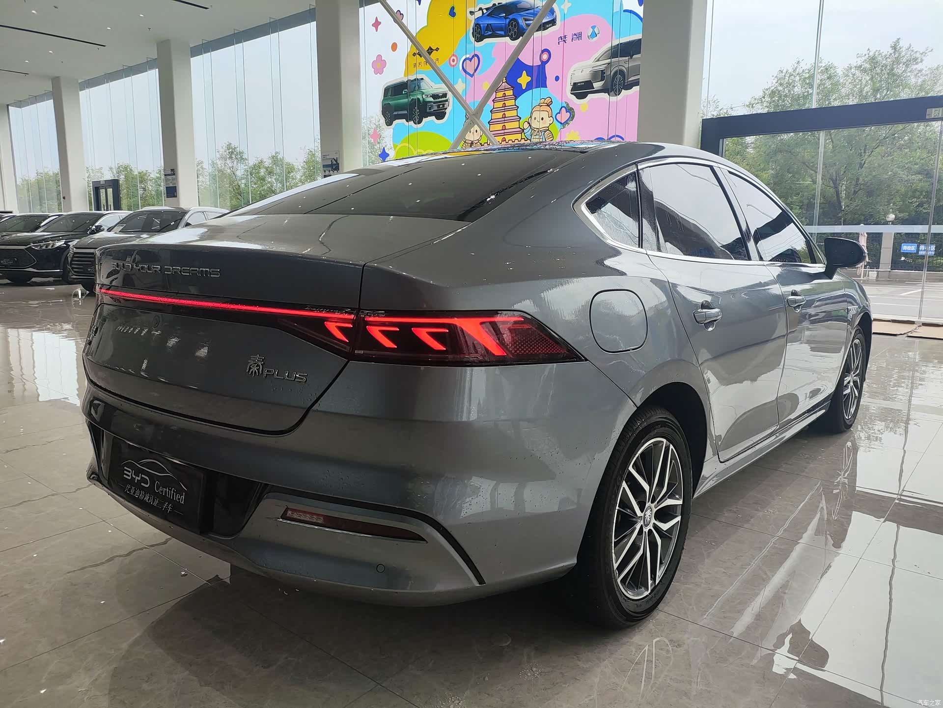 BYD Qin, 2023 все фото