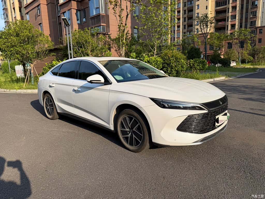 BYD Qin, 2024 24