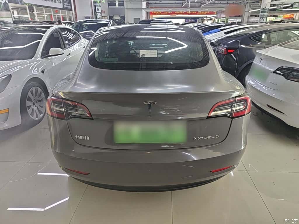Tesla Model 3, 2021 6