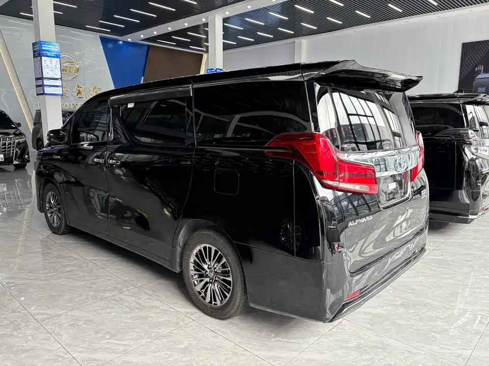 Toyota Elfa