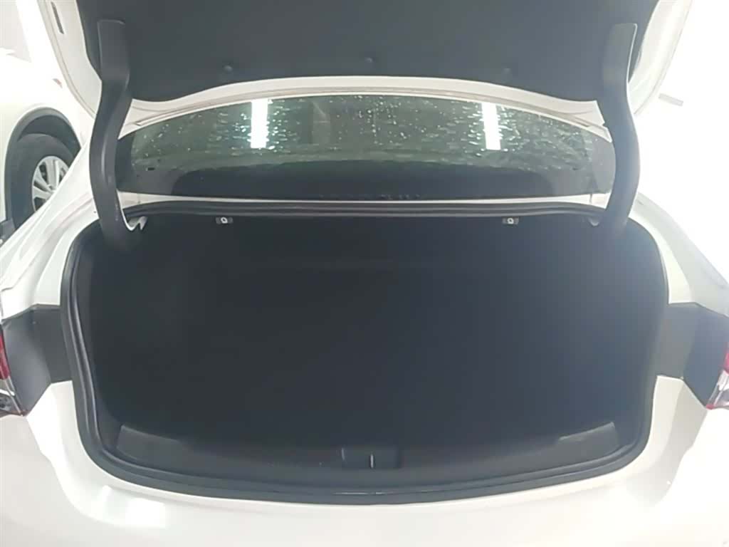 Buick Regal, 2019 19