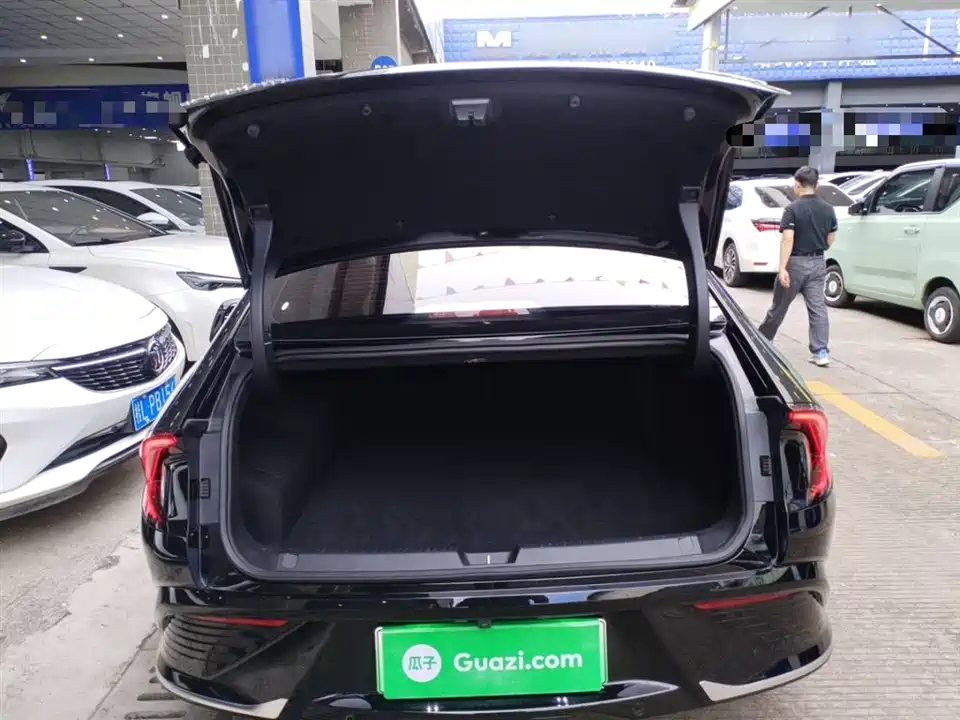 Wuling Wuling Starlight