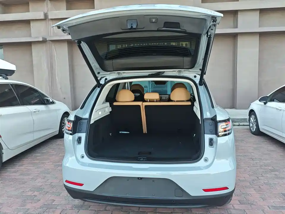 Leapmotor C11 Leapmotor C11