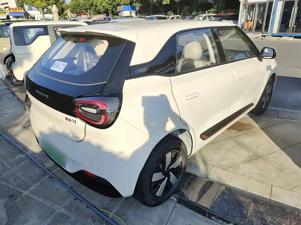 Dongfeng Nammi Nano 01