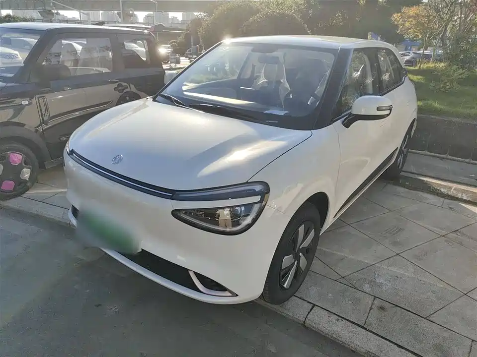 Dongfeng Nammi Nano 01