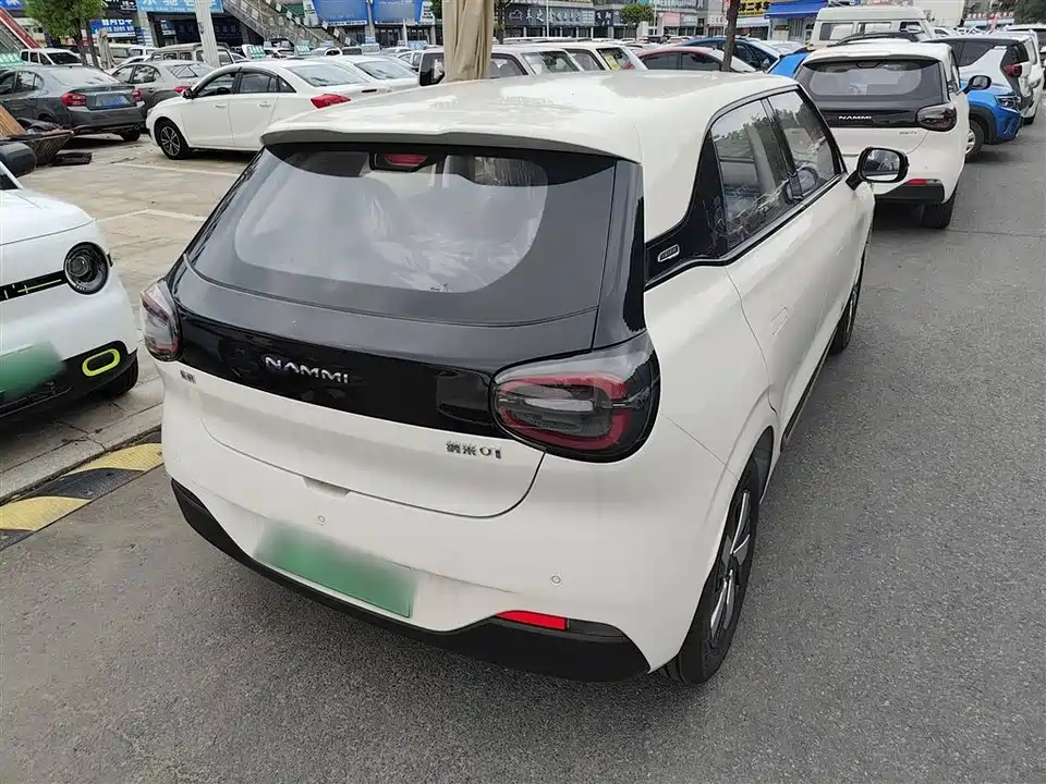 Dongfeng Nammi Nano 01