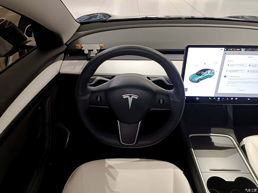 Tesla Model 3, 2021 11