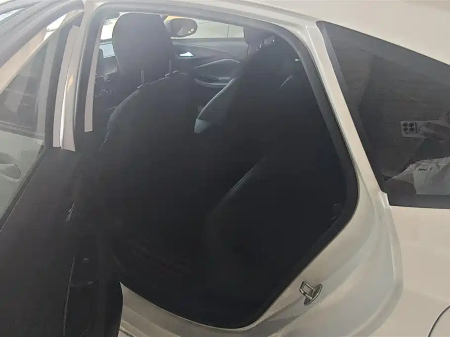 Buick Weilang
