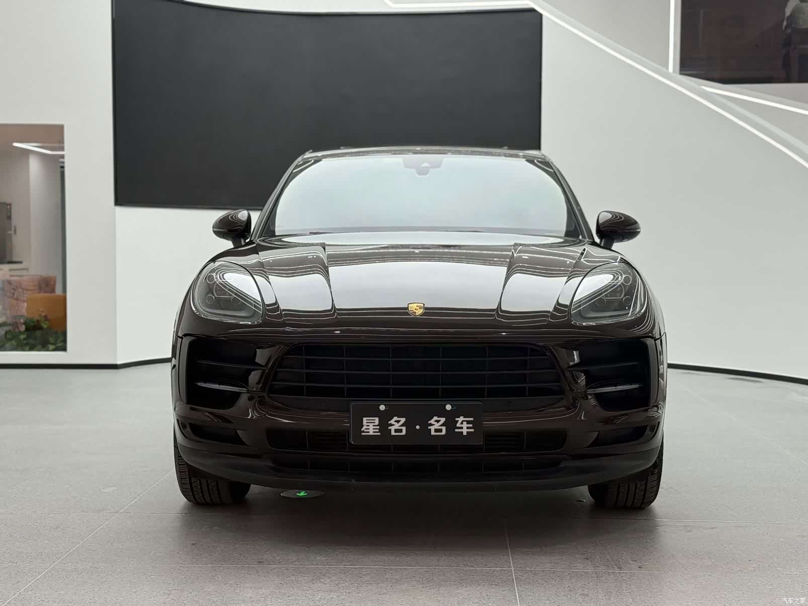 Macan Macan, 2019 2