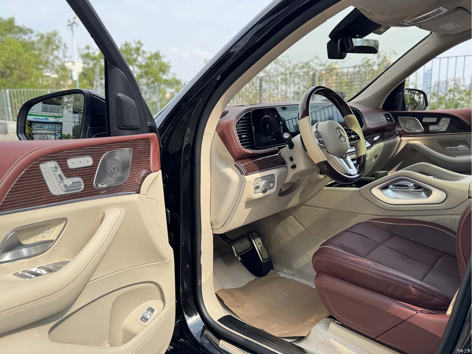 Maybach GLS, 2021 14