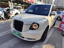 LEVC TX 2022�� TX5 ���̶��п�����