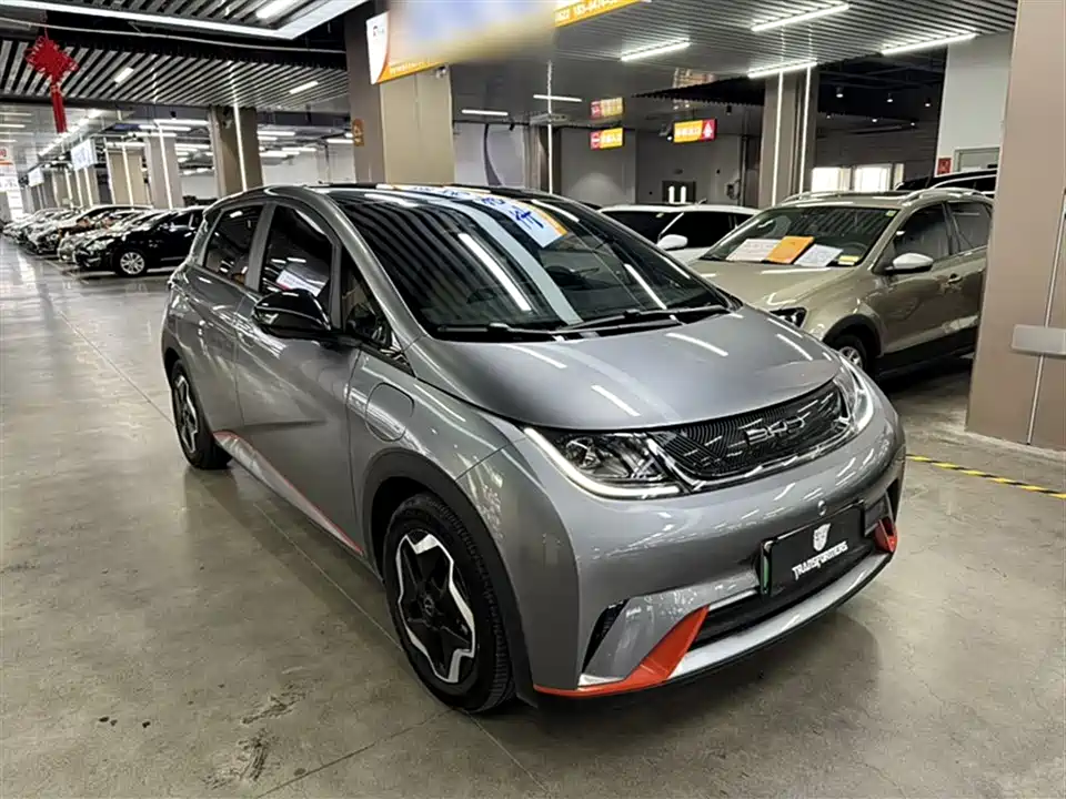 BYD dolphin