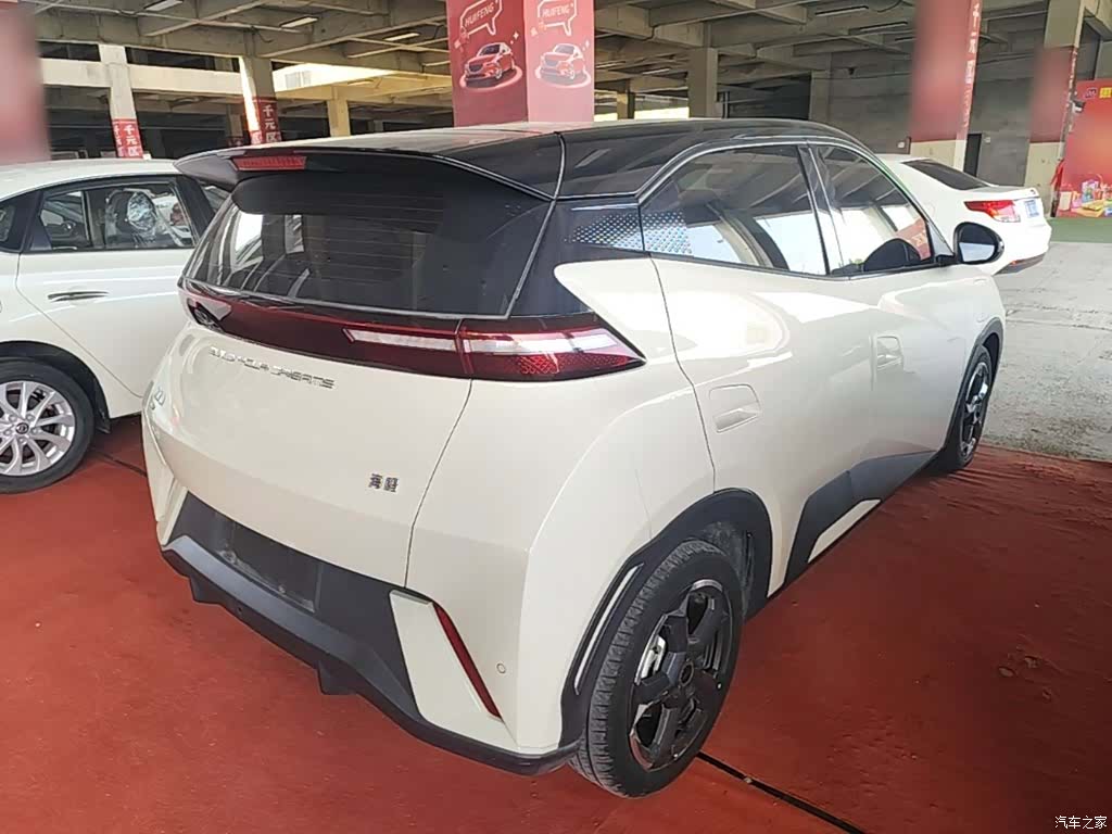 BYD Seagull, 2024 7